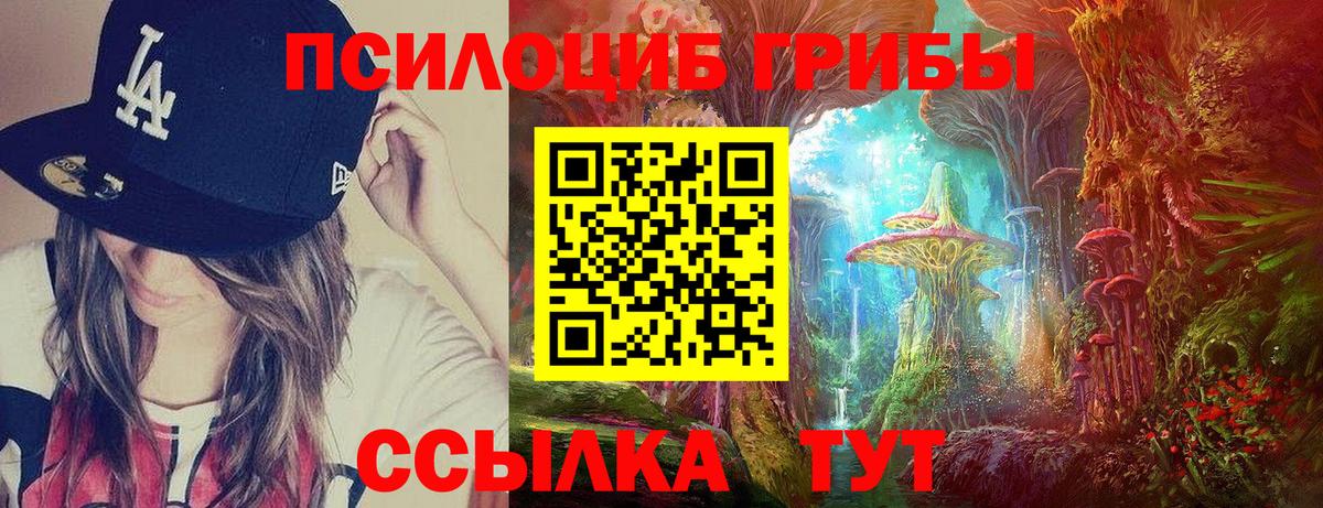 Галлюциногенные грибы Cubensis Баксан