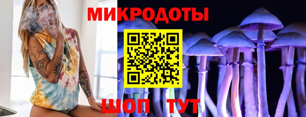 Псилоцибиновые грибы Cubensis  наркошоп  Галлюциногенные грибы ЛСД  Баксан  Вход с VPN 